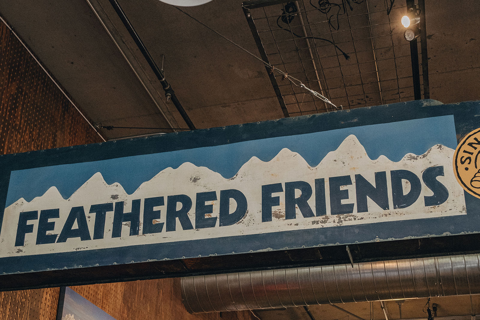 50년 동안 바뀌지 않은 것 : Feathered Friends 인터뷰